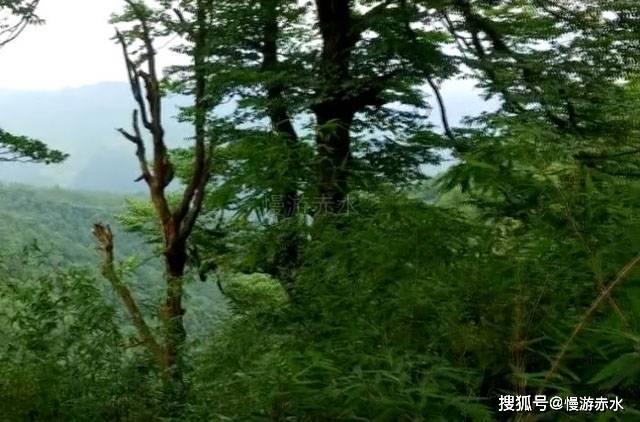 换城市工作后，社保转移该怎么办理呢？