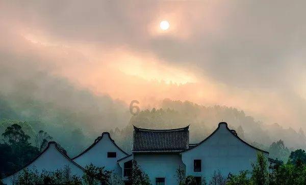 甲氧基丙烯酯类杀菌剂能治大蒜叶枯病吗？游戏画面
