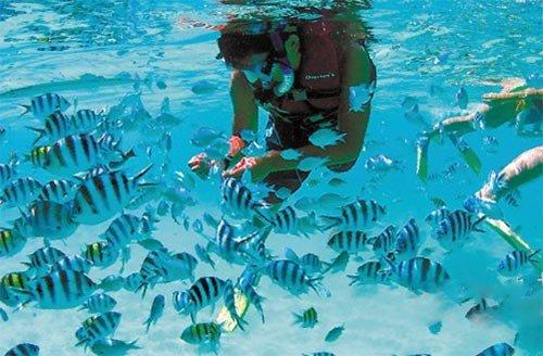 潮新闻连续报道引发关注,多地慈善组织愿参与助浴行动 慈善助浴车,开进偏远山区