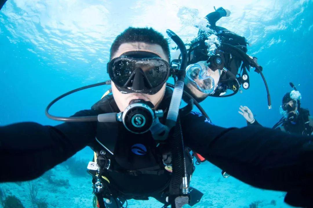 救援受困的老虎