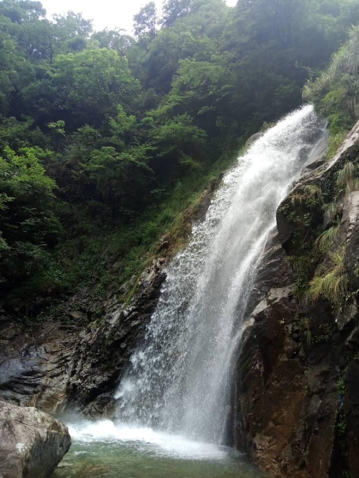 拯救精灵的土地5