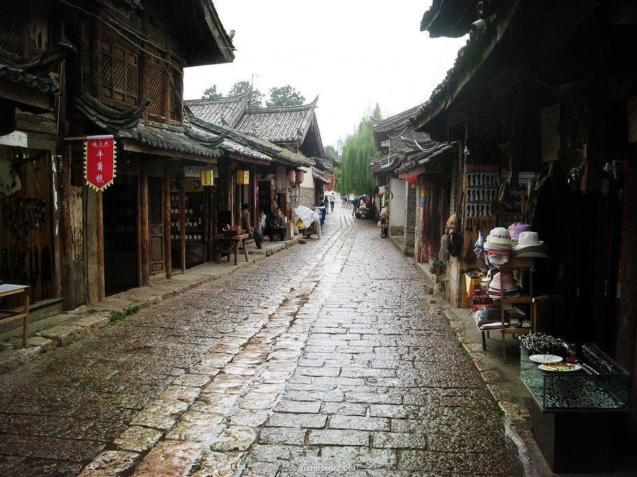 春雨直播app