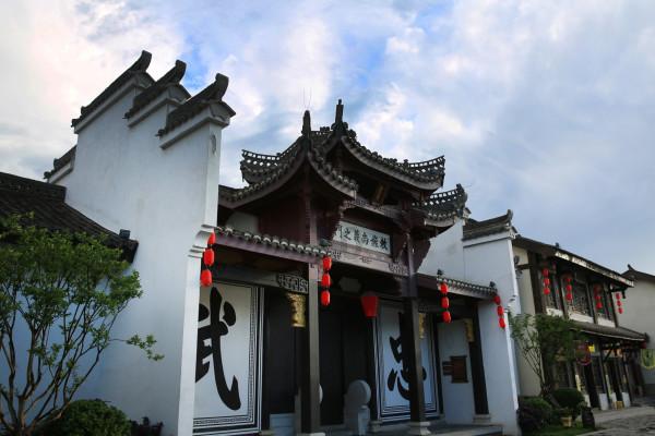 救援受困的小野猫