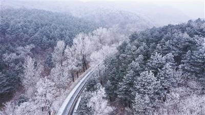 “算网数智 联通慧云” 重庆联手青海发布算力卡